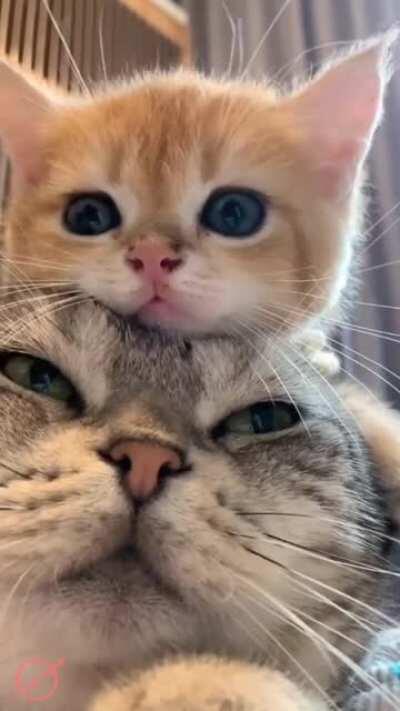 Such a cute daddy and baby cuddle time!!!