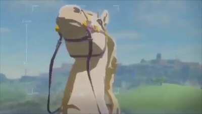 [BoTW] A dancing horse