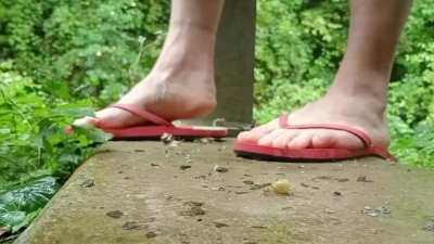 Half Final 2: Pink Flipflops