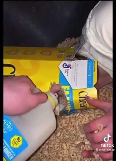 I don't want to get political but mint chips the best ice cream