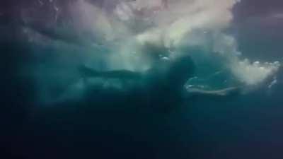 “sombra you’re absolutely trash 😡 how much damage have you done?”