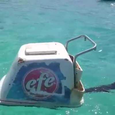 Veo tu heladero en la costa de la playa y lo subo heladero en el mar