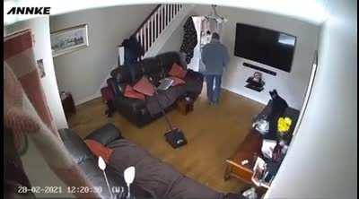 Poor dog gets startled by a sliding floor sweeper