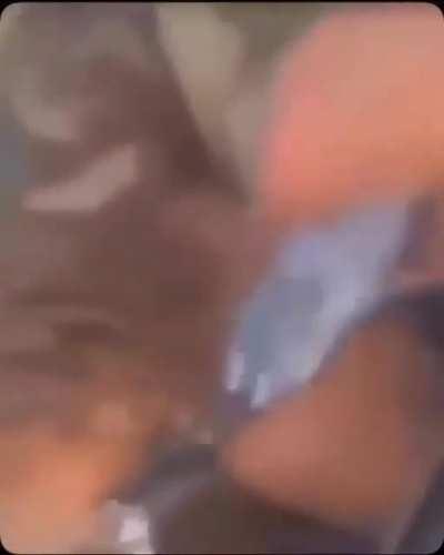 Shit been going down hill since this released🤼