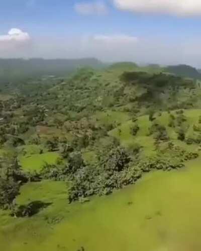 Didn’t see that coming