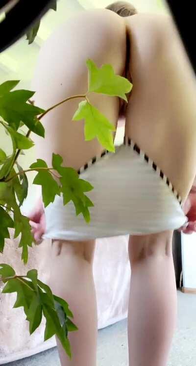 Look past my flora to my fauna