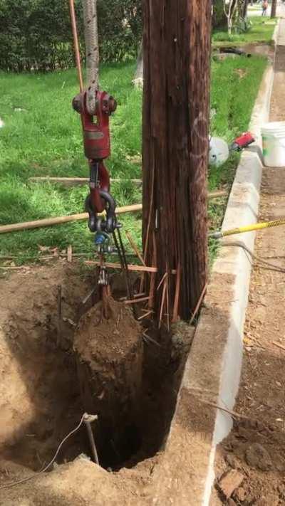 Yep, it works. From my archive.