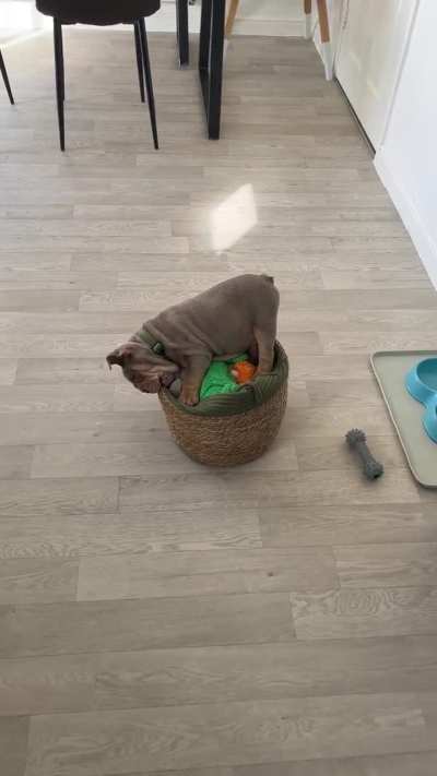 Bruce caught in the act