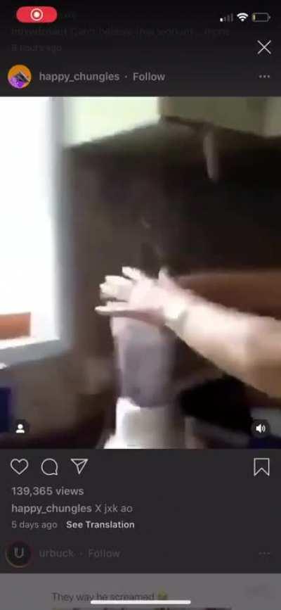 Blenders, I fear them