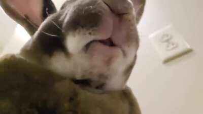 POV: You're the next piece of lettuce