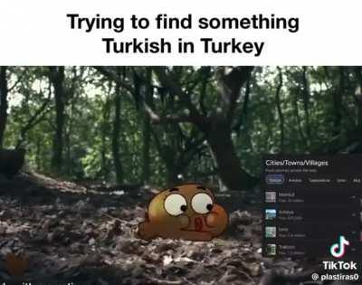 Trying to find something Turkish in Turkey