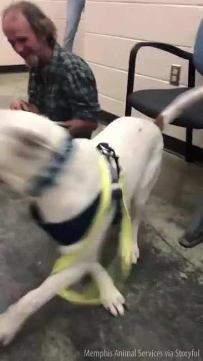 A homeless man was reunited with his lost dog at a shelter