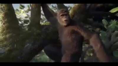 Soundtracks in a nutshell. (OC)