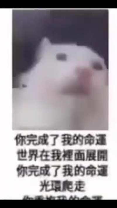 NFT? More like I Need Sex