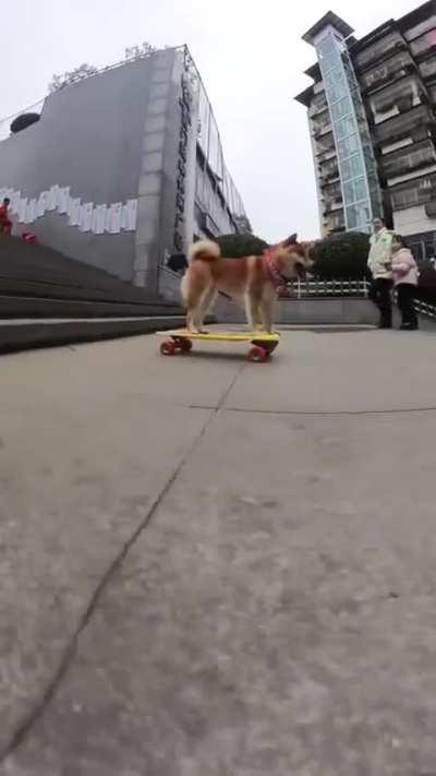 Sk8ter boi