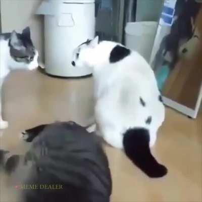 Как закончить драку