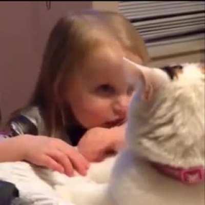 wItCh CaSt a cUrSE To iNnOcENt cat