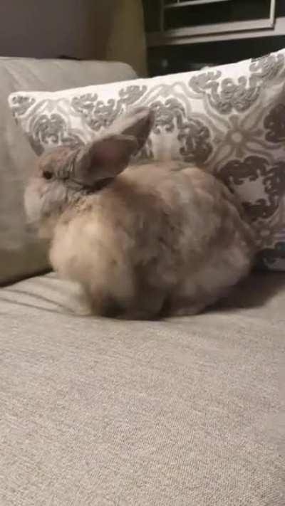 no beans were harmed in this video