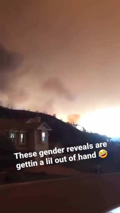 dankvideos - Video #1682