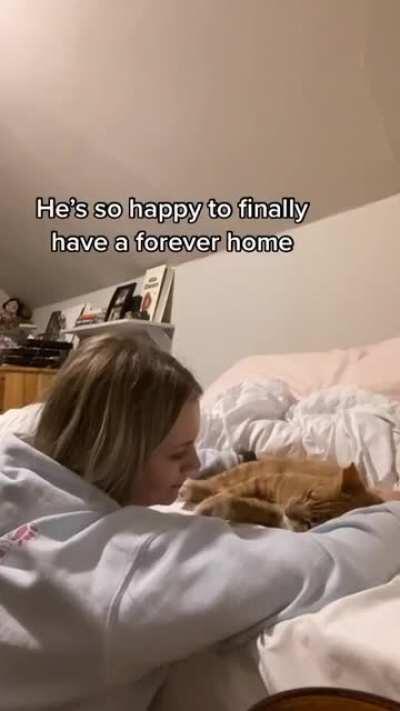This person is amazing for giving this beautiful kitty a forever home