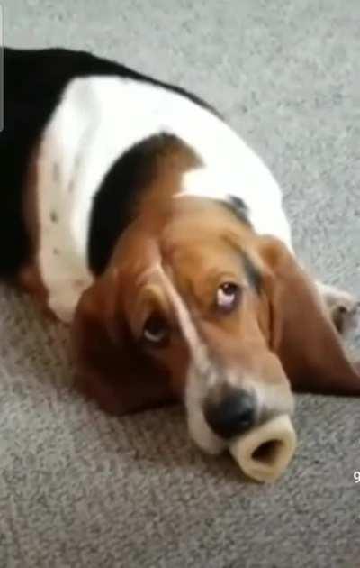 he seems to enjoy it