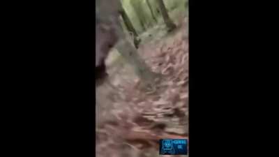 Minecraft Logging IRL