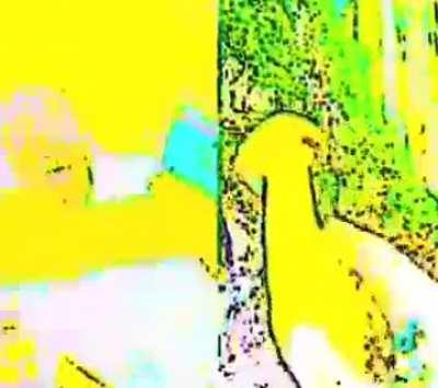 (Insert original title here)