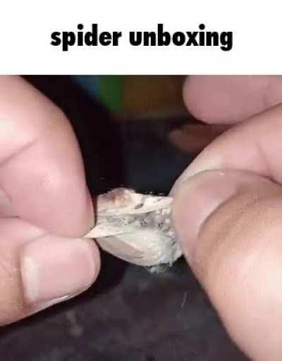 this is literally what i saw