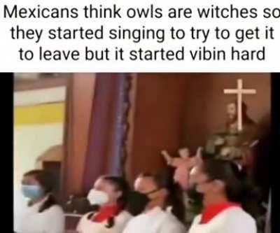 Just because an owl can rotate its head 270 degrees, does not mean it is possessed