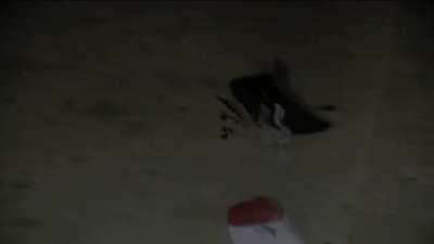 DONDA LIVESTREAM by parts P2