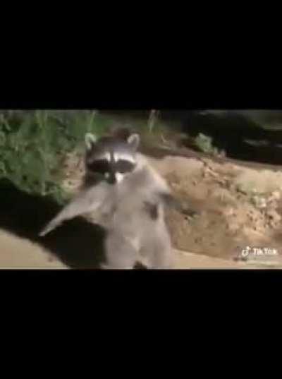 Simplemente magnífico