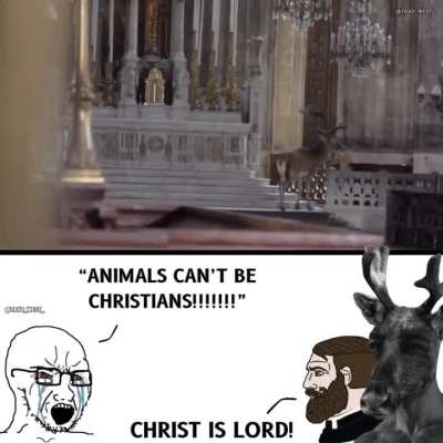 May all creation praise The Lord