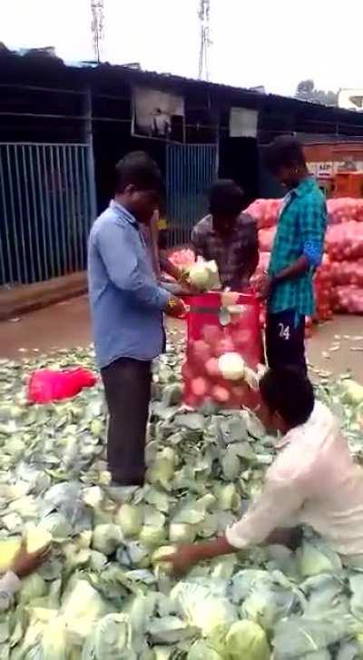 Why Robotics and automation are not very common in India