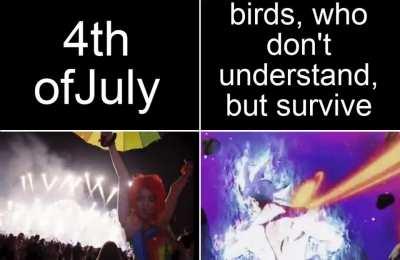 this isn't their first rodeo