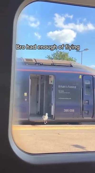 Когда надоело летать 