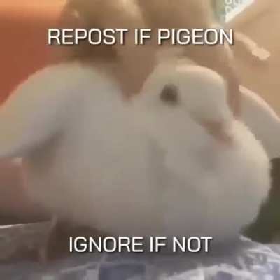 [ Removed by moderator ]