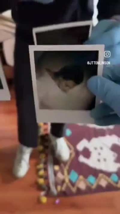 The relentless push of consumer culture keeps us trapped in a cycle of endless want, convincing us that our worth lies in what we own rather than who we are. It drives overproduction, strains the planet, and fosters shallow connections, as material posses