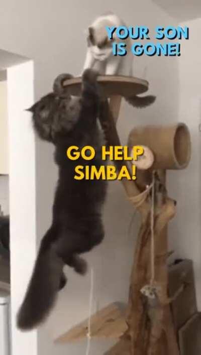 funniest thing I've seen all week