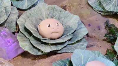 Cabbage Patch Kid display at BabyLand General Hospital