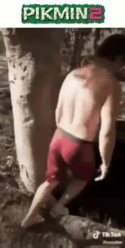 This do be Pikmin 2 doe 😳