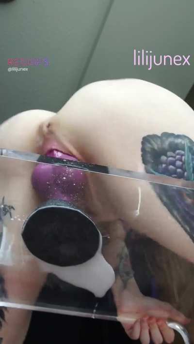 L Rex knot-fucks and breeds me through the clear stool 💘🐾 26-minute video up on Fansly and OF!