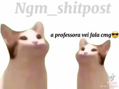 Que q você fez cara