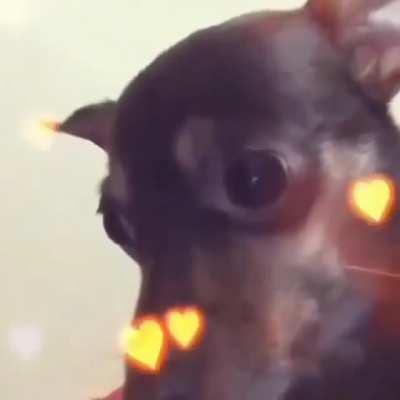 artist unknown genre unknown era unknown it's japanese lyrics