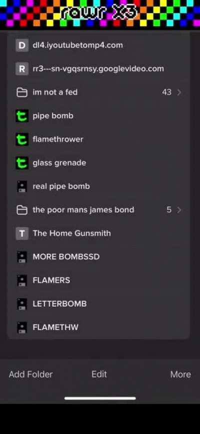 RAWR X3 (the antichrist is coming)