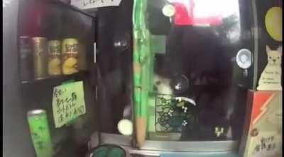 Horny jail now pay the toll