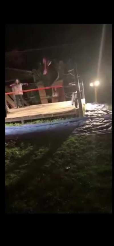 'Wrestling is fun' they said