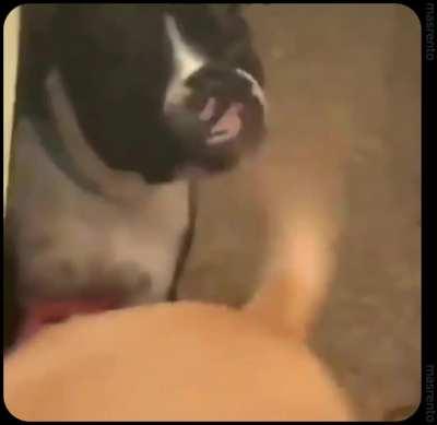 Umm I thought this was from this community