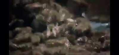 Agalarımla mahallenin büyük abisine dalıyoruz