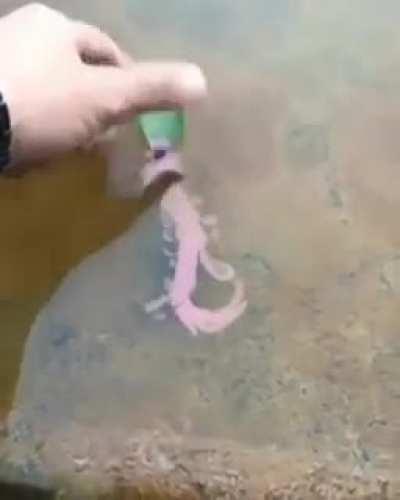 The Marangoni Effect- The ink has a lower surface tension than water, creating a surface tension gradient that pulls the leaf.