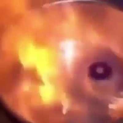 The audio is still fine but this is moldy af